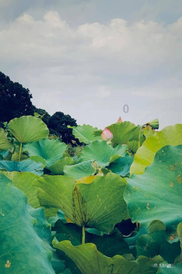 逃出上锁的现代房间3
